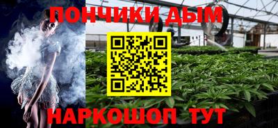 индика Комсомольск-на-Амуре