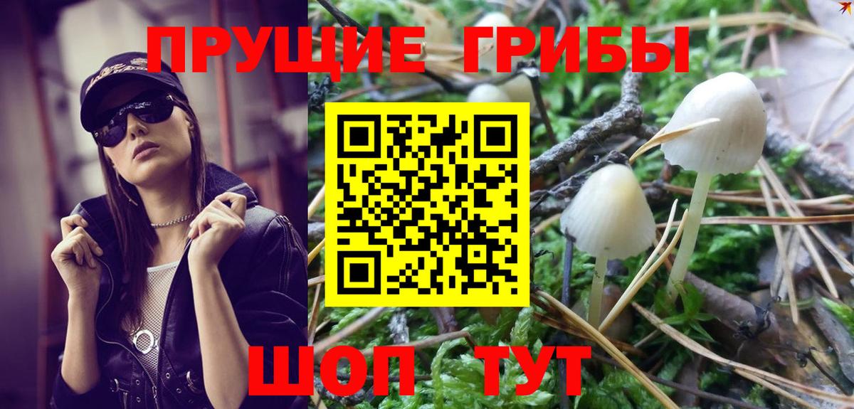 Галлюциногенные грибы Cubensis  Вход с VPN  Орехово-Зуево 